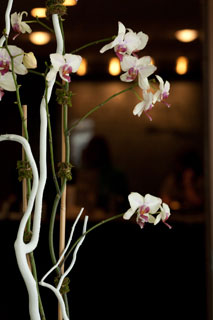 fort-lauderdale-spa-packages